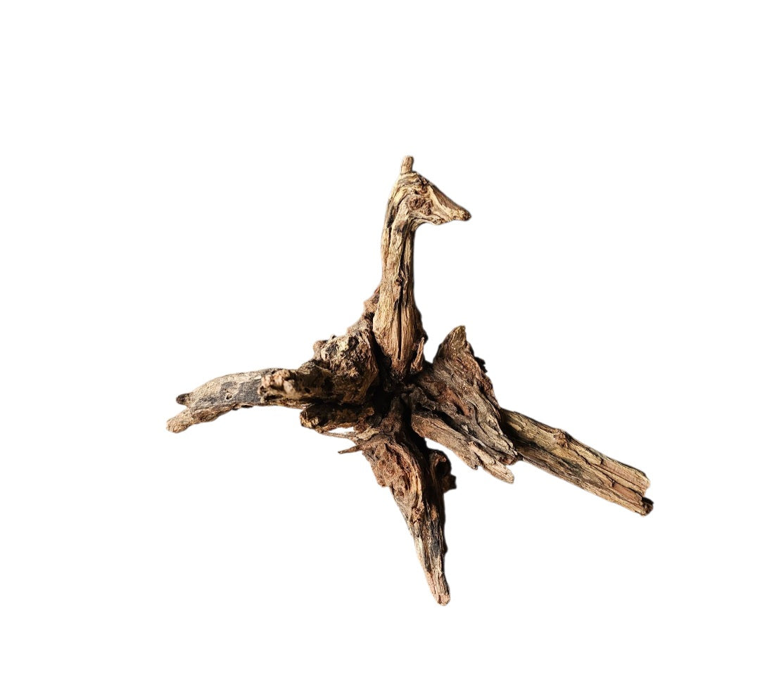 Coral Sinker Wood   Nr. 463