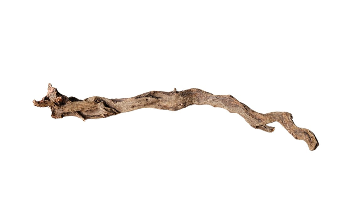 Coral Sinker Wood   Nr.613