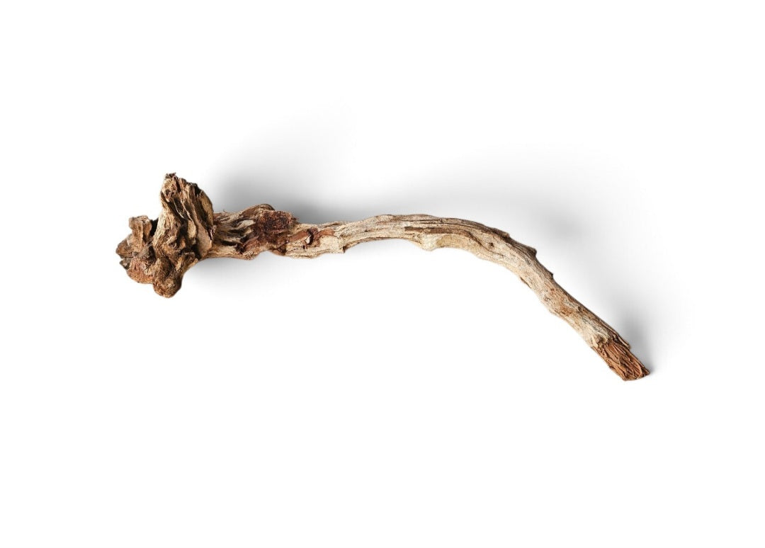Coral Sinker Wood   Nr. 130