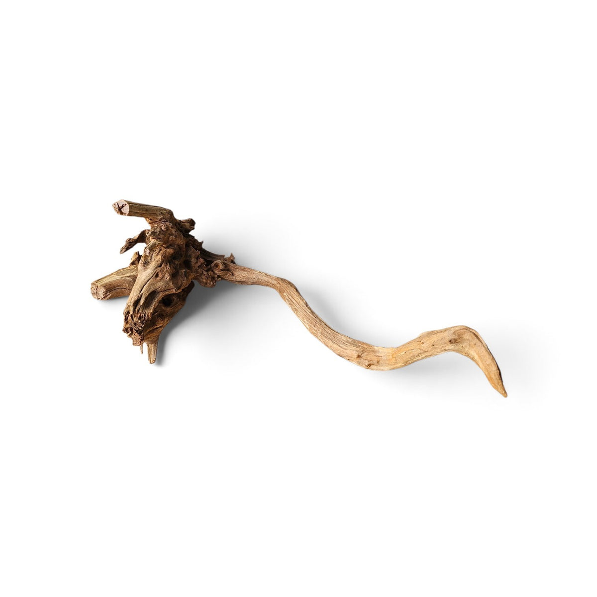 Coral Sinker Wood   Nr. 460