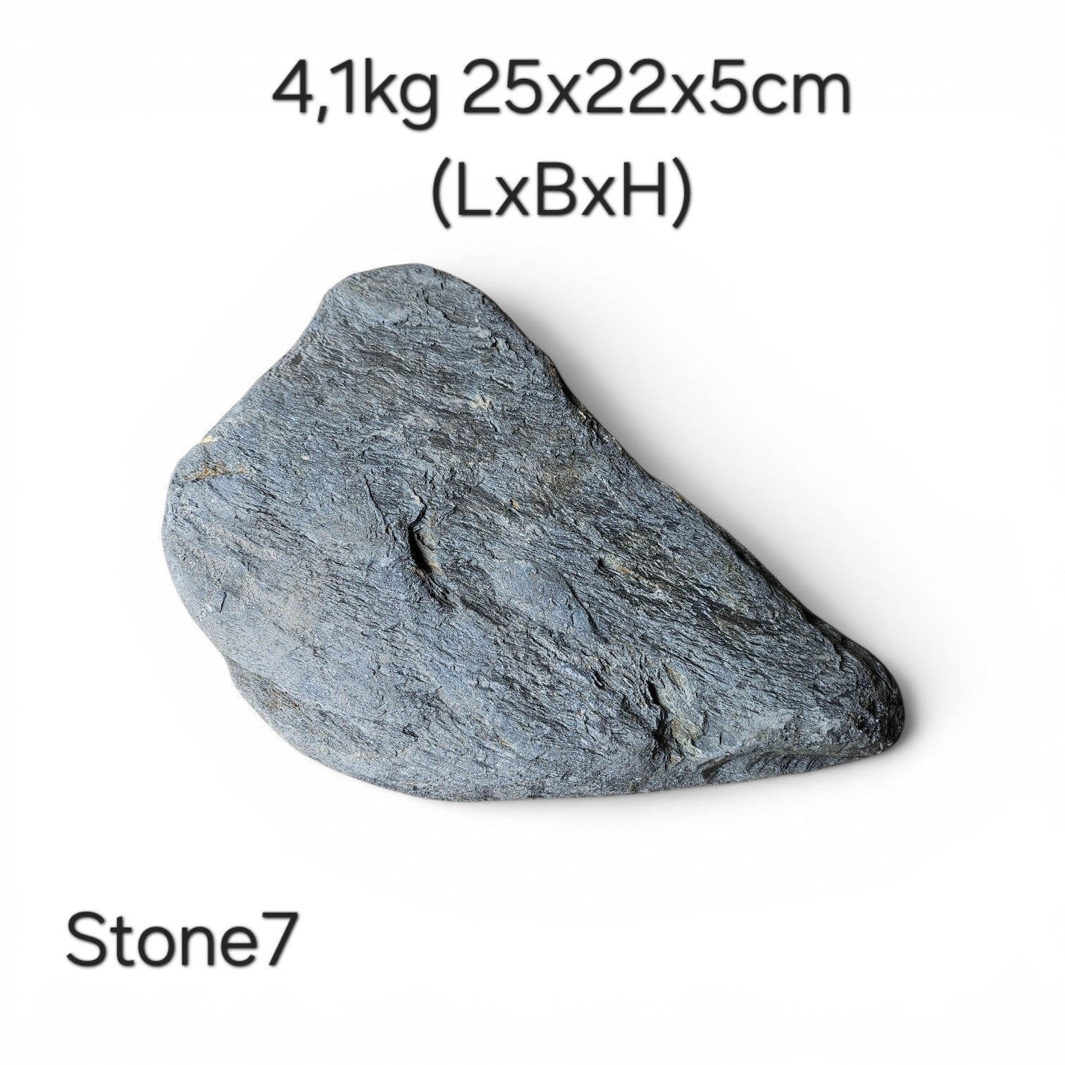 Wild Rhino Steine / Stones XL /  Main Stones