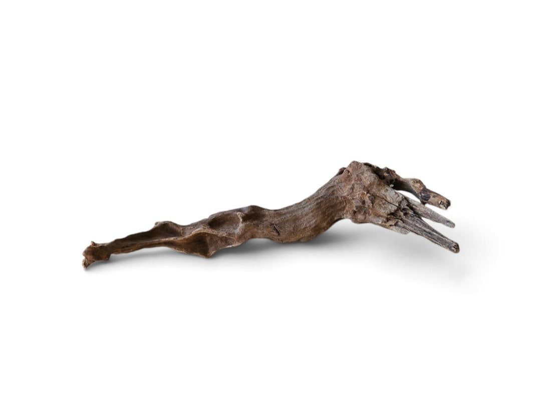 Coral Sinker Wood   Nr. 867
