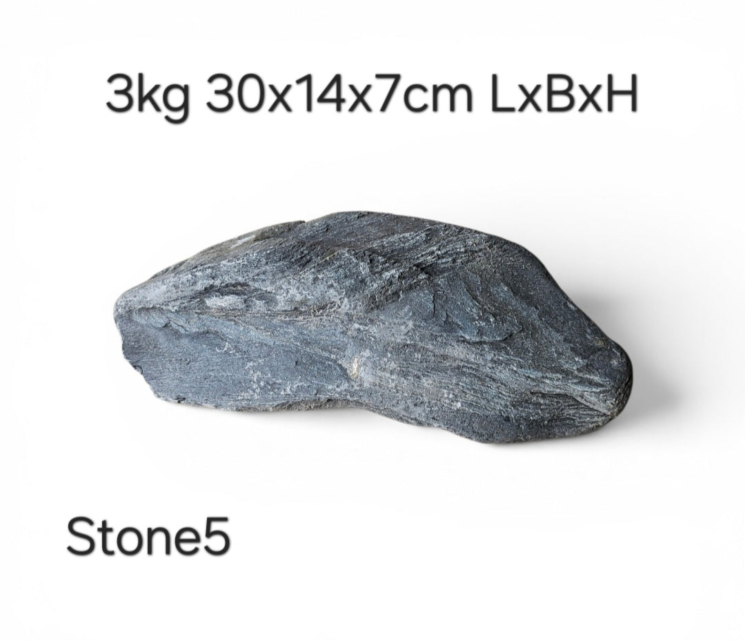 Wild Rhino Steine / Stones XL /  Main Stones