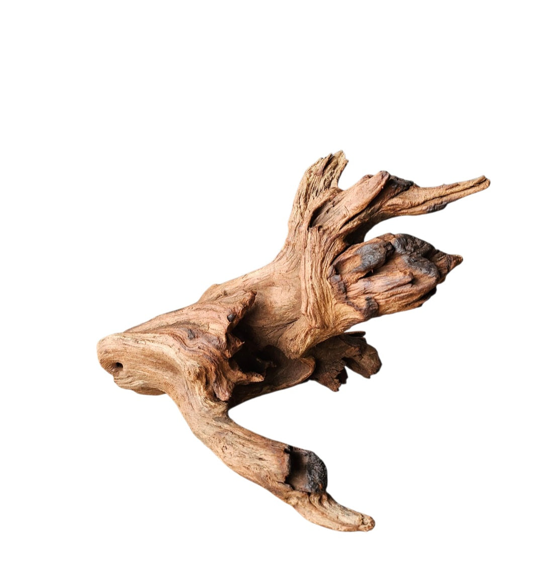 Driftwood / Flusswurzel   Nr.993