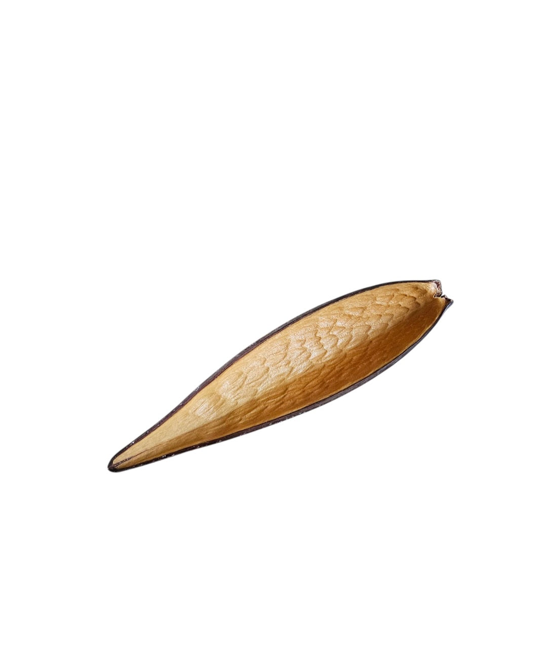 Canoinhas-Pods 10-15cm