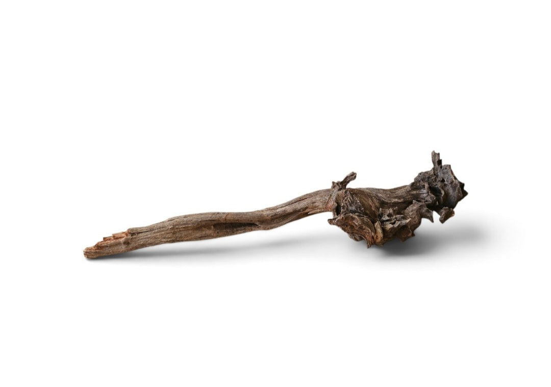 Coral Sinker Wood   Nr.655
