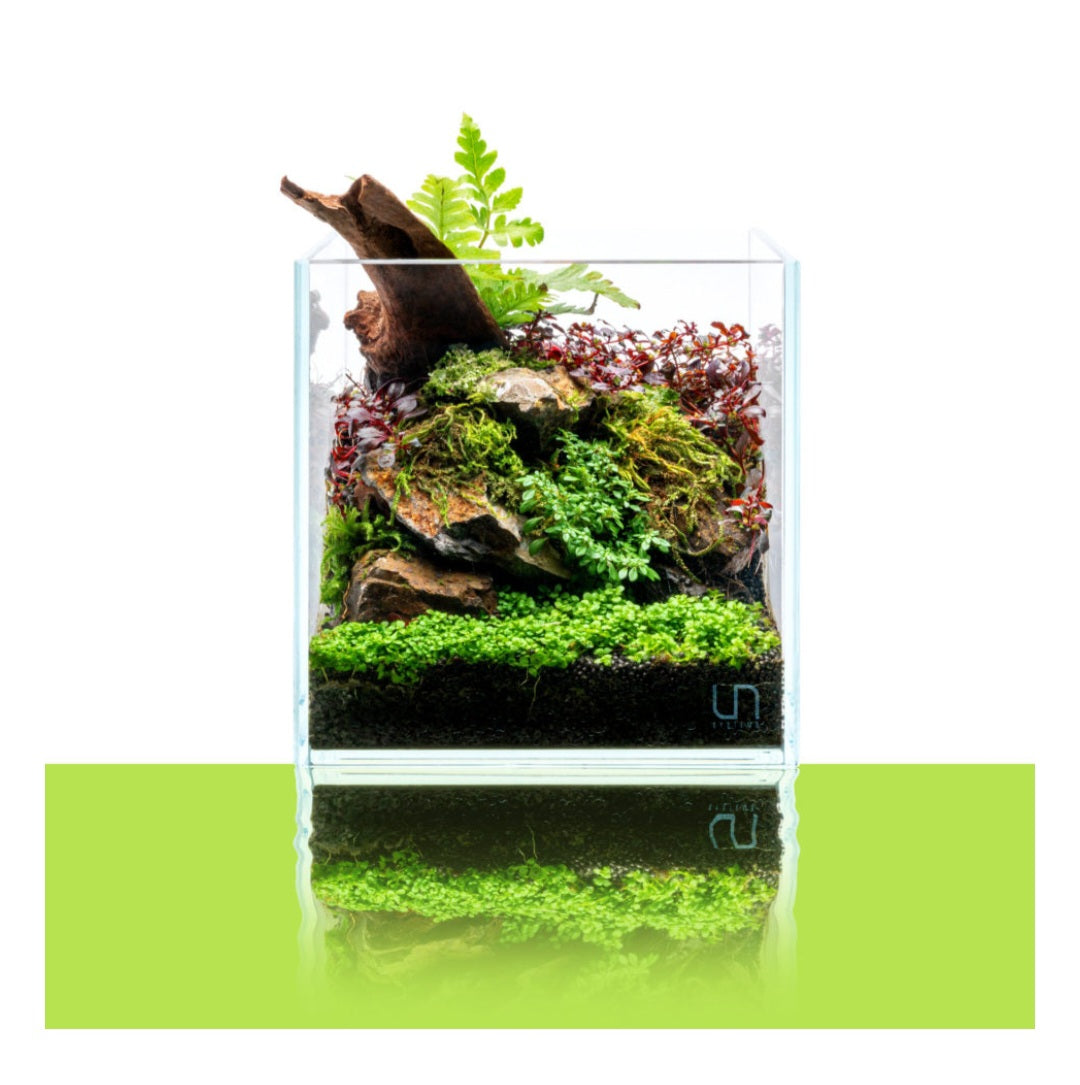 UNS Aquarium Cube  (verschiedene Größen)