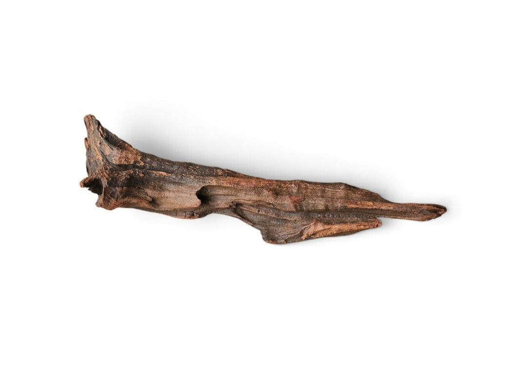 Driftwood / Flusswurzel   Nr. 247