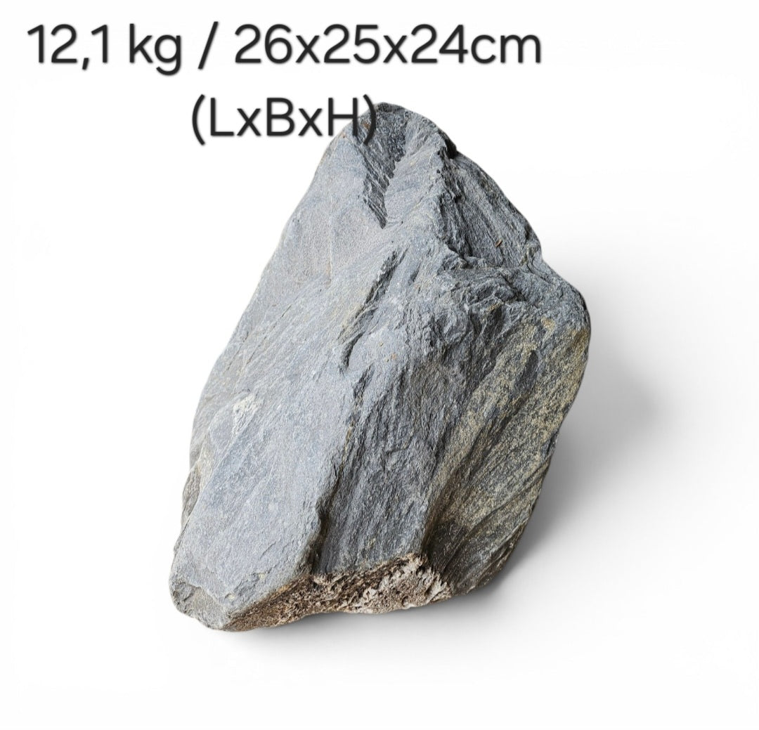 Wild Rhino Steine / Stones XL /  Main Stones