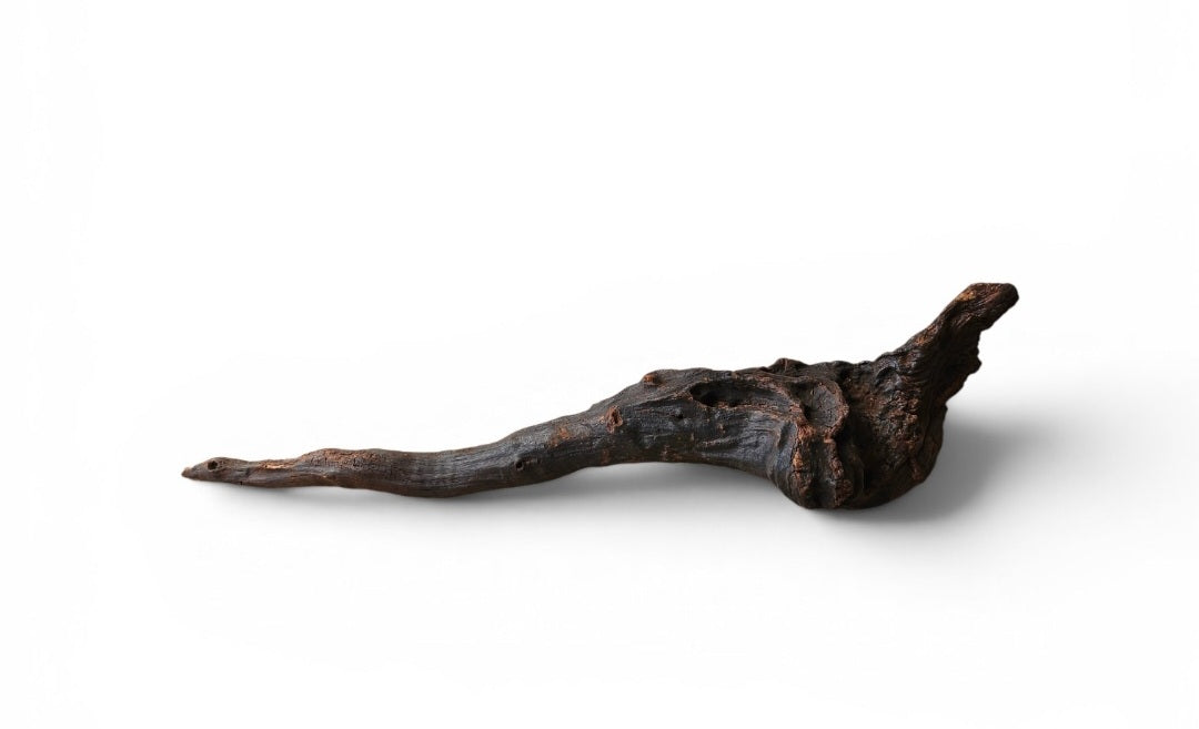 Driftwood / Flusswurzel   Nr. 495