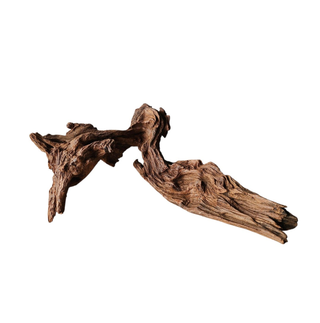 Driftwood / Flusswurzel   Nr.176