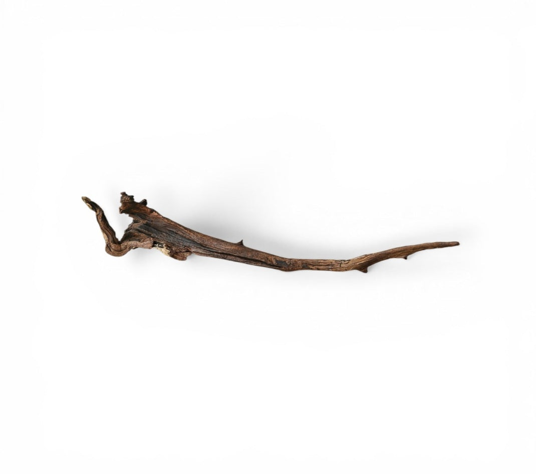 Driftwood / Flusswurzel   Nr. 252
