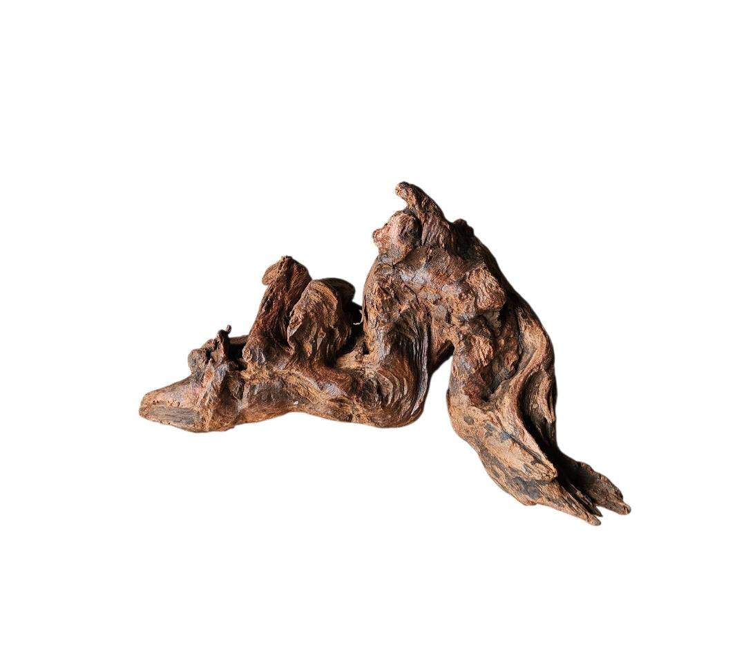 Driftwood / Flusswurzel   Nr.999