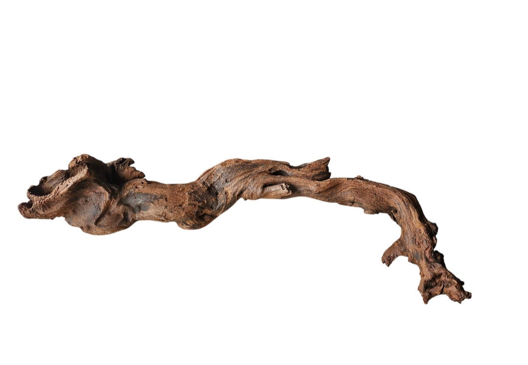 Driftwood / Flusswurzel   Nr. 489