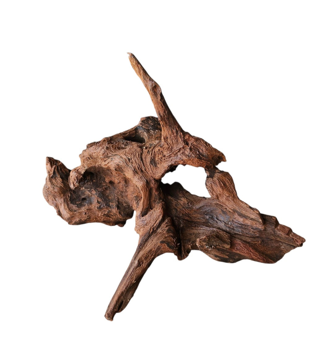Driftwood / Flusswurzel   Nr.986