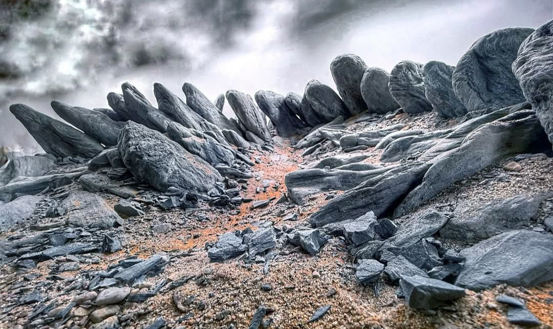Wild Rhino Steine / Stones  ( Stück - verschiedene Größen )