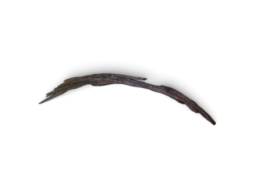 Driftwood / Flusswurzel   Nr. 61