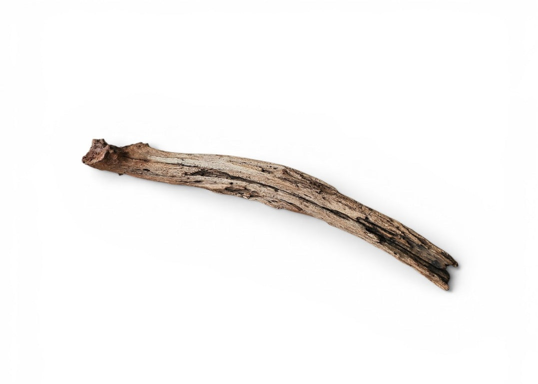 Driftwood / Flusswurzel   Nr.986