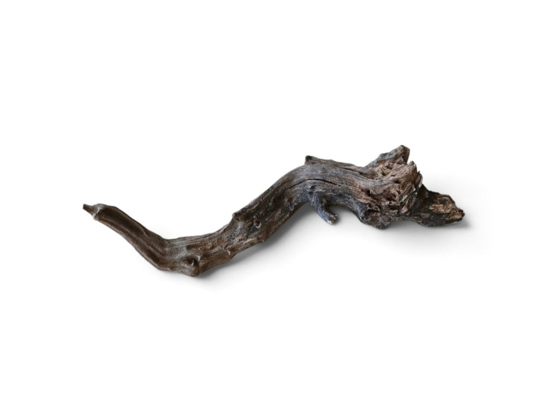 Coral Sinker Wood   Nr.627