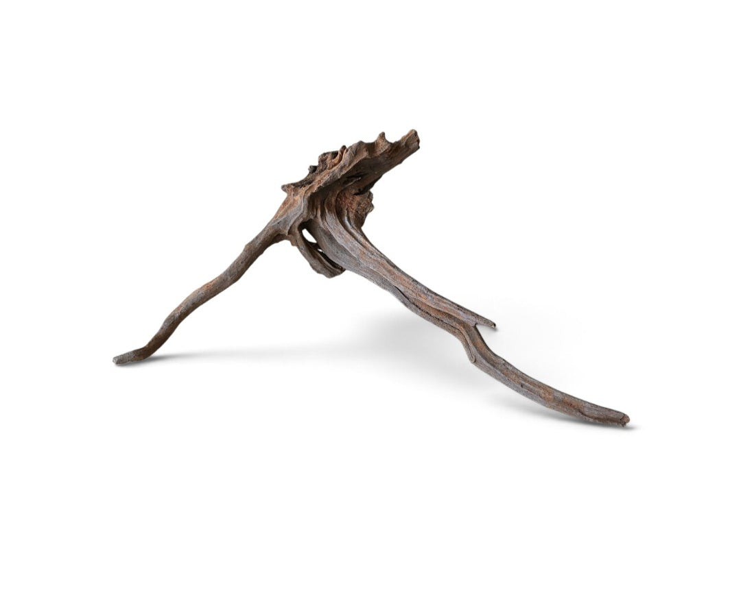 Coral Sinker Wood   Nr.624