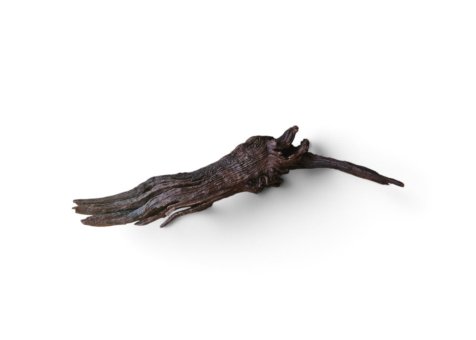 Driftwood / Flusswurzel   Nr.305