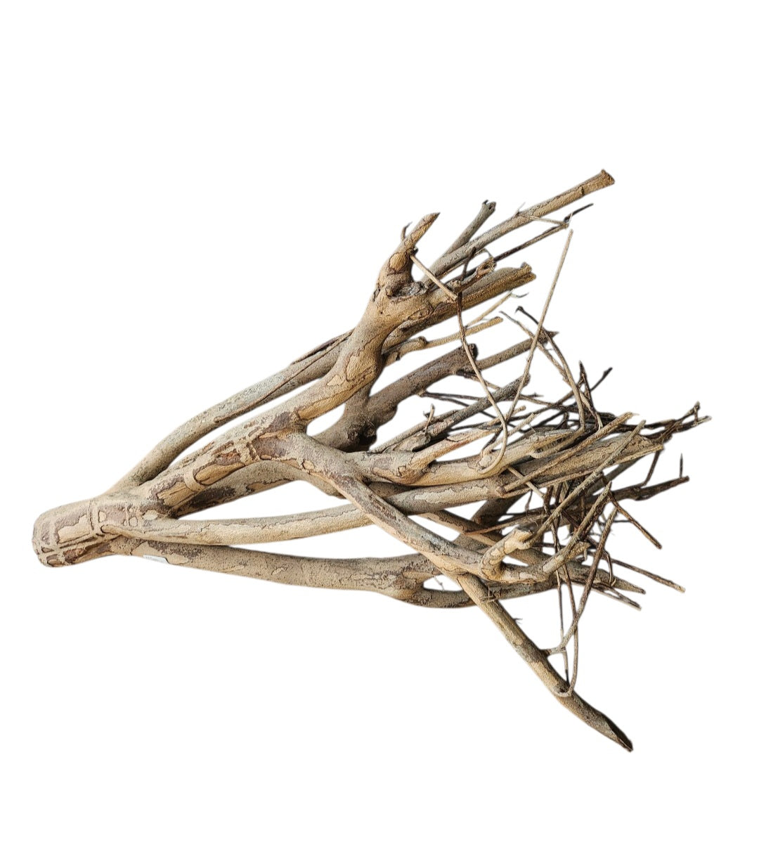 Talawa Holz / Wood 50-70 cm   Nr. 775