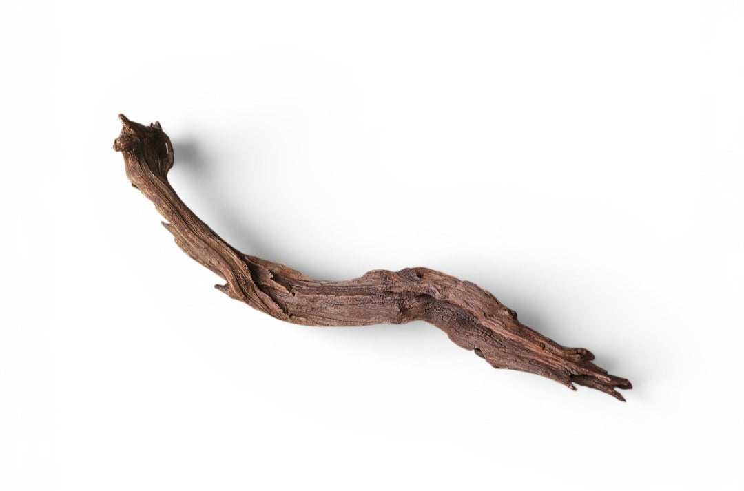 Driftwood / Flusswurzel   Nr.983