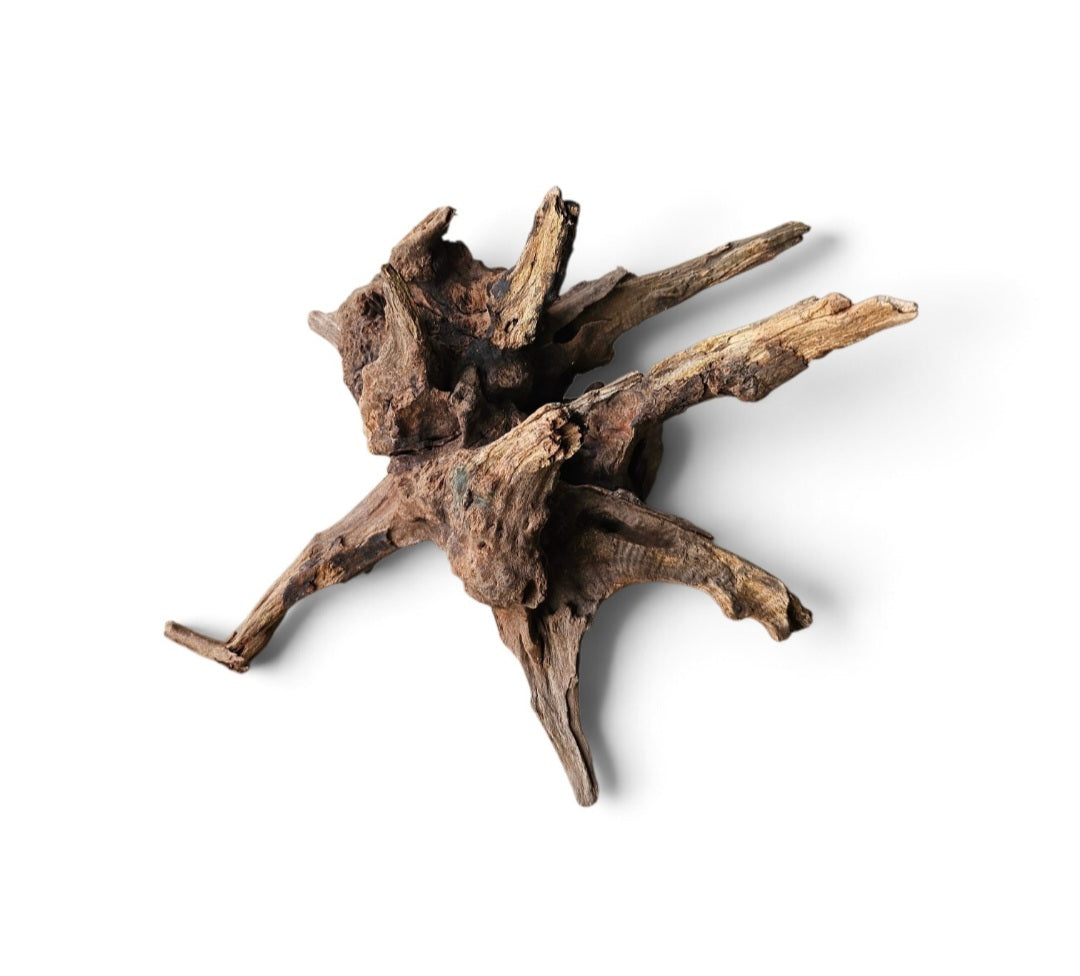 Coral Sinker Wood   Nr. 193