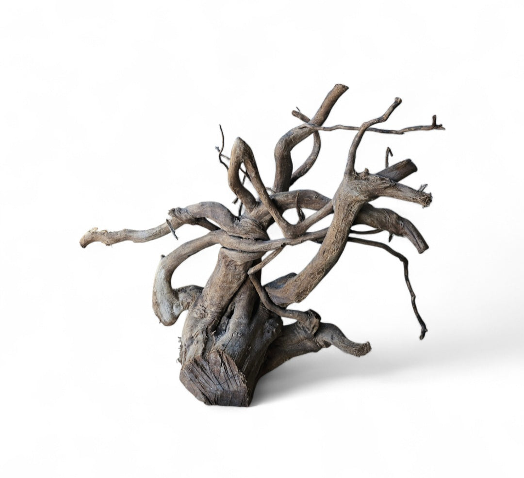 Dunkle Moorwurzel L (40-45 cm)   Wurzel 932