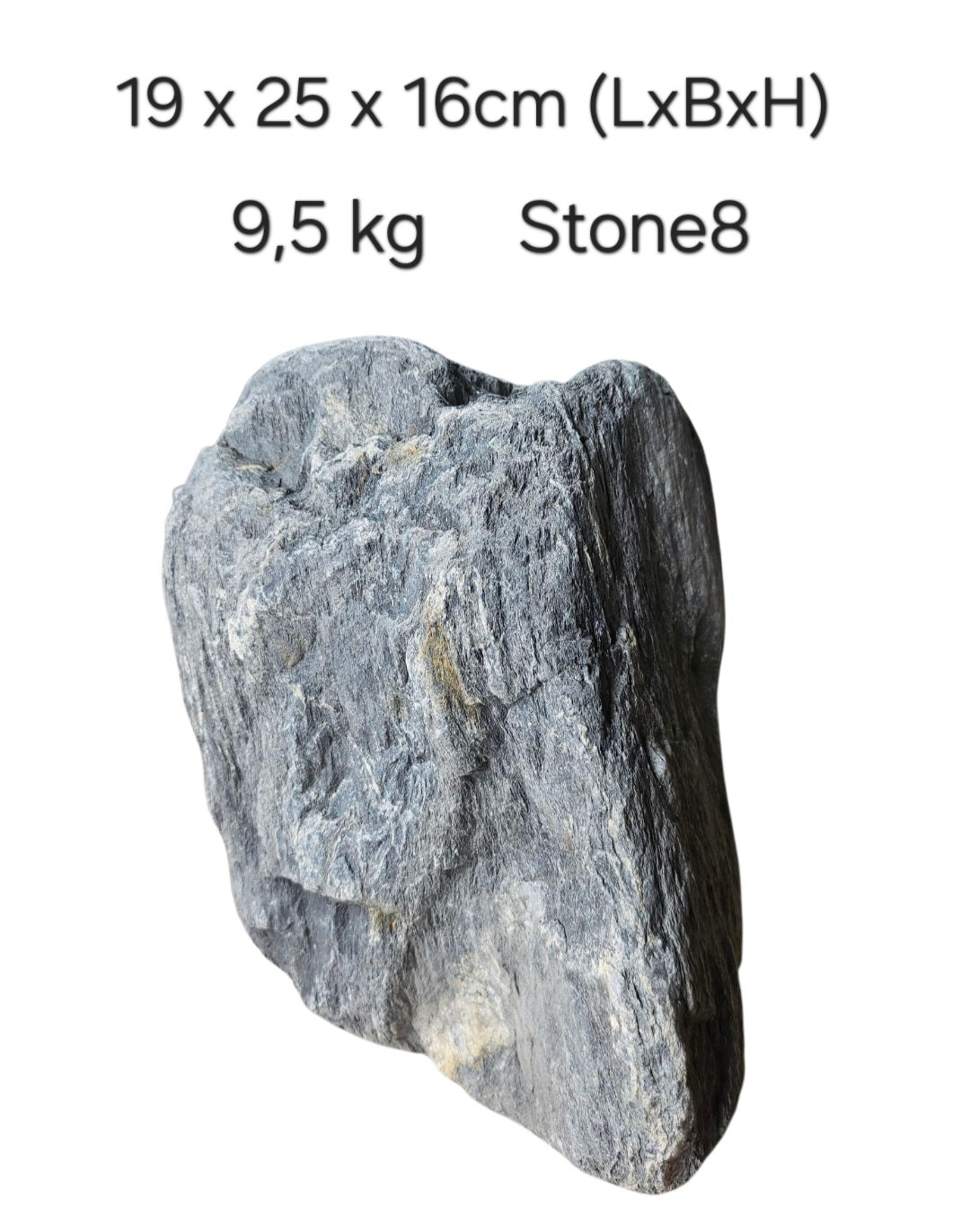 Wild Rhino Steine / Stones XL /  Main Stones