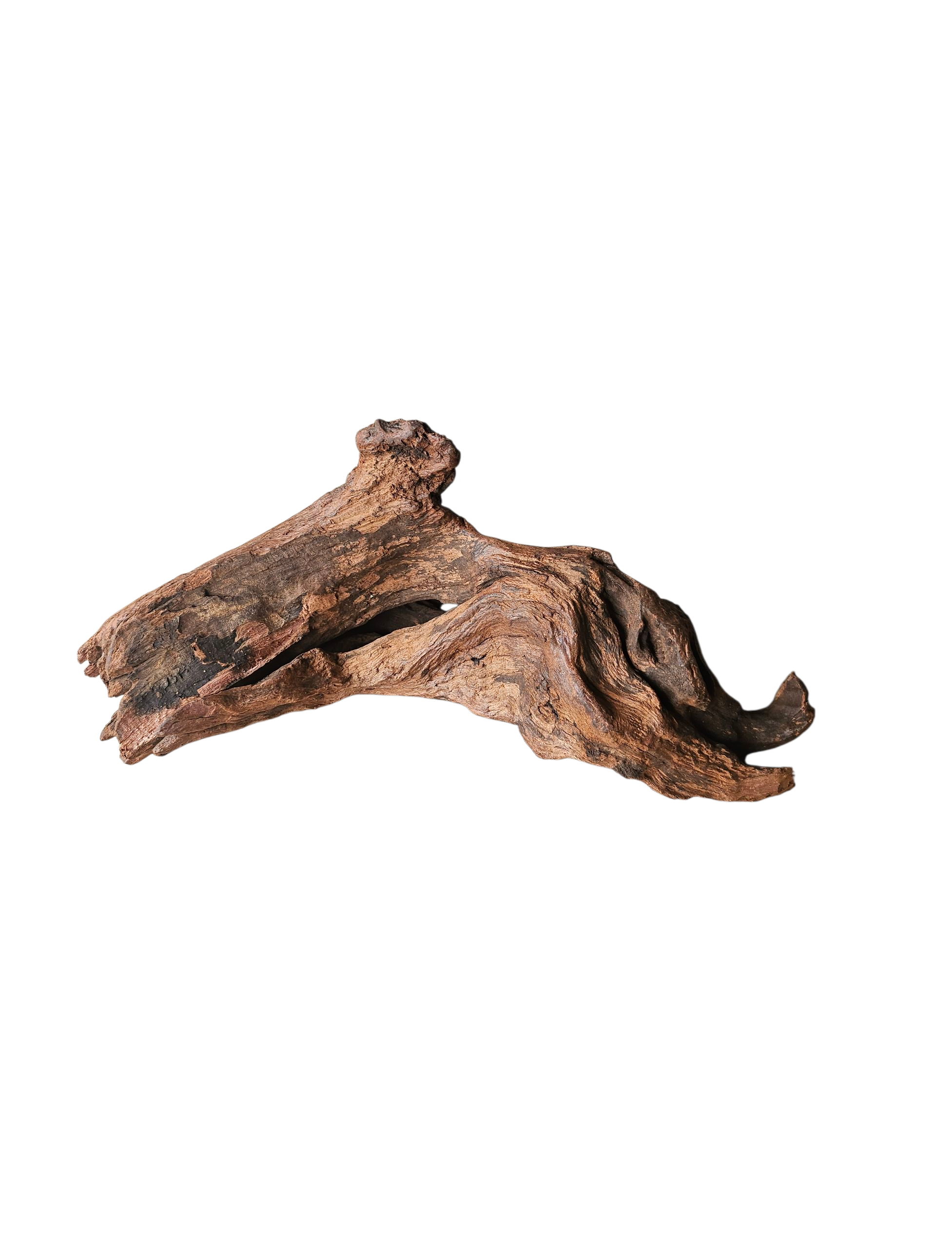 Driftwood / Flusswurzel   Nr.979