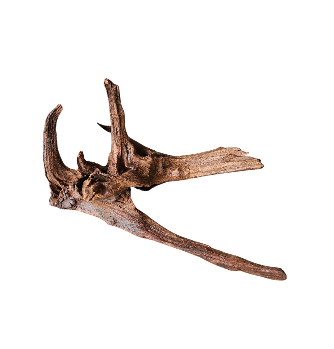 Driftwood / Flusswurzel   Nr.992
