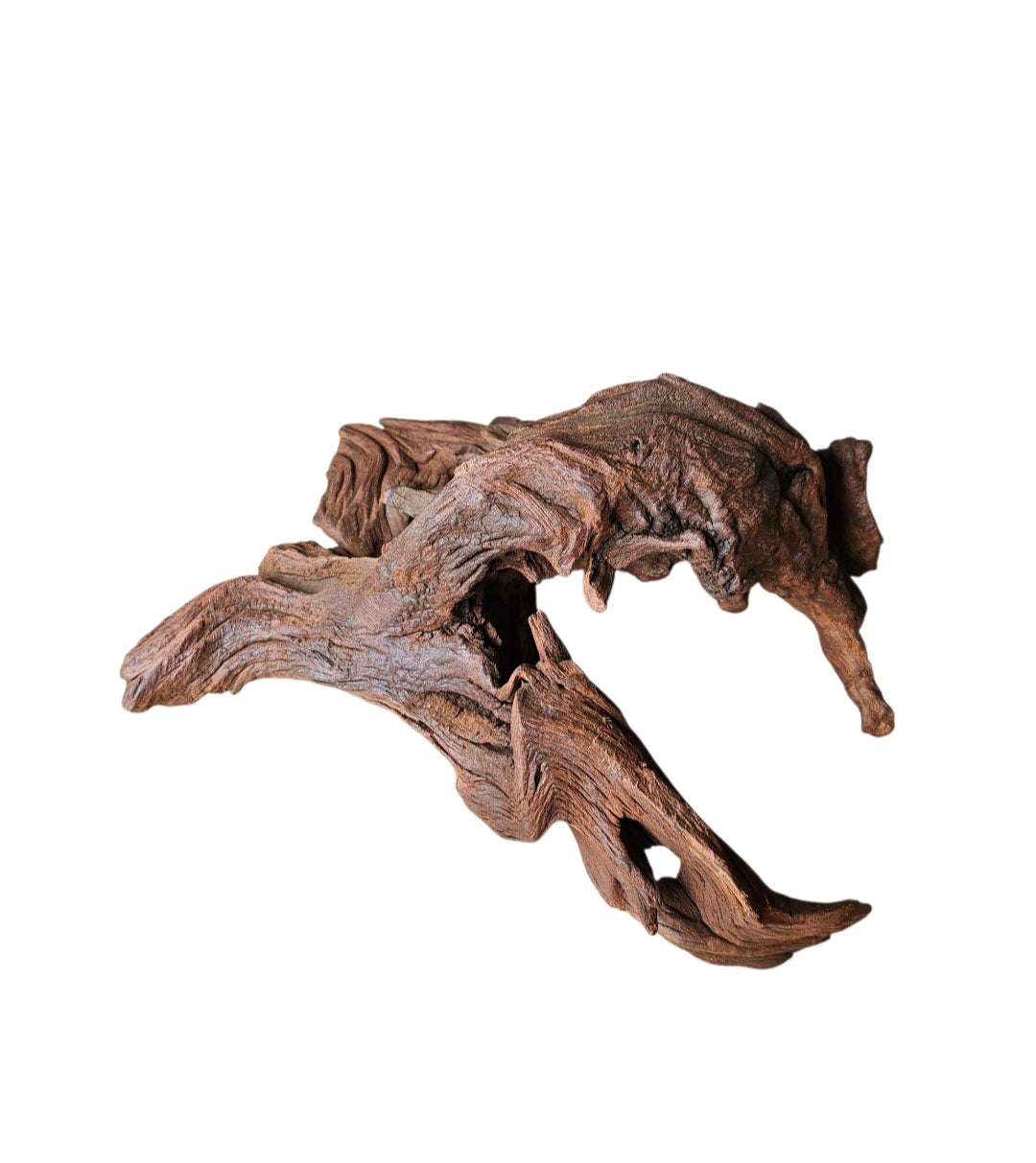 Driftwood / Flusswurzel   Nr.217