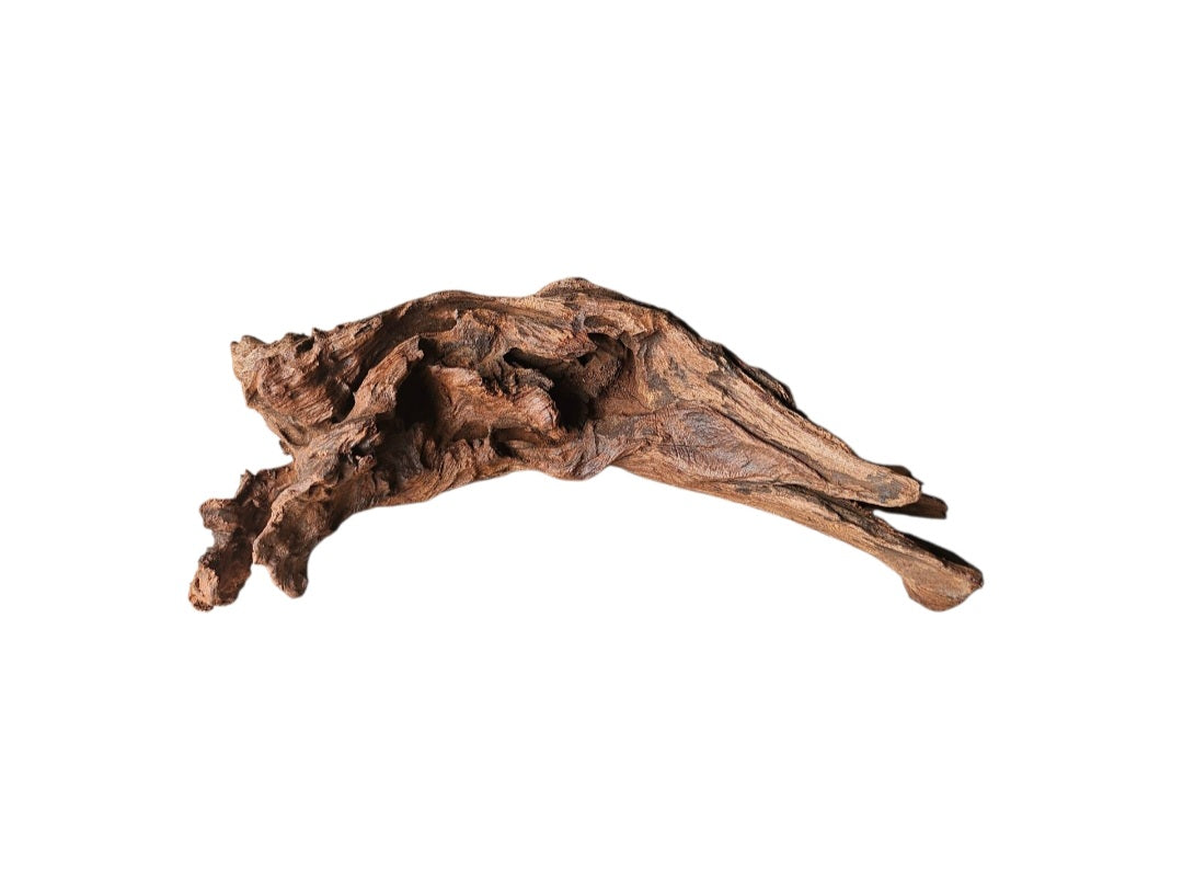 Driftwood / Flusswurzel   Nr.982