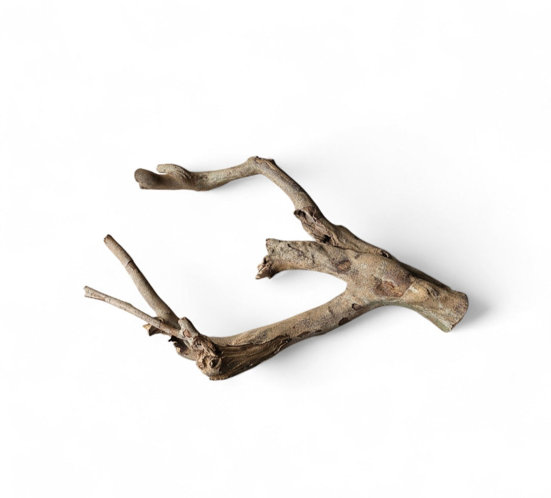 Talawa Holz / Wood 30-45 cm   Nr. 159