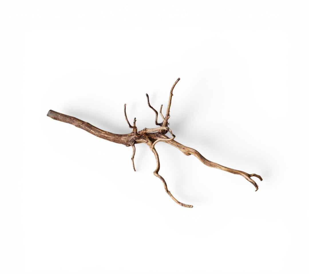 Dark Snake Wood   Nr.441