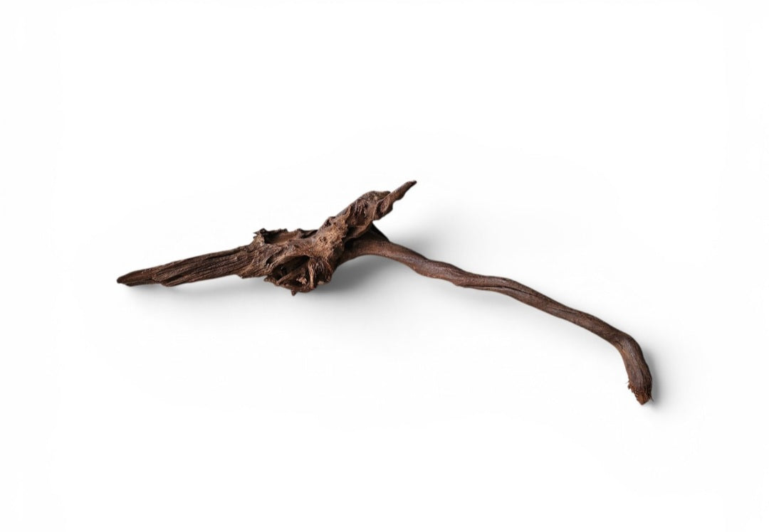 Driftwood / Flusswurzel   Nr. 250