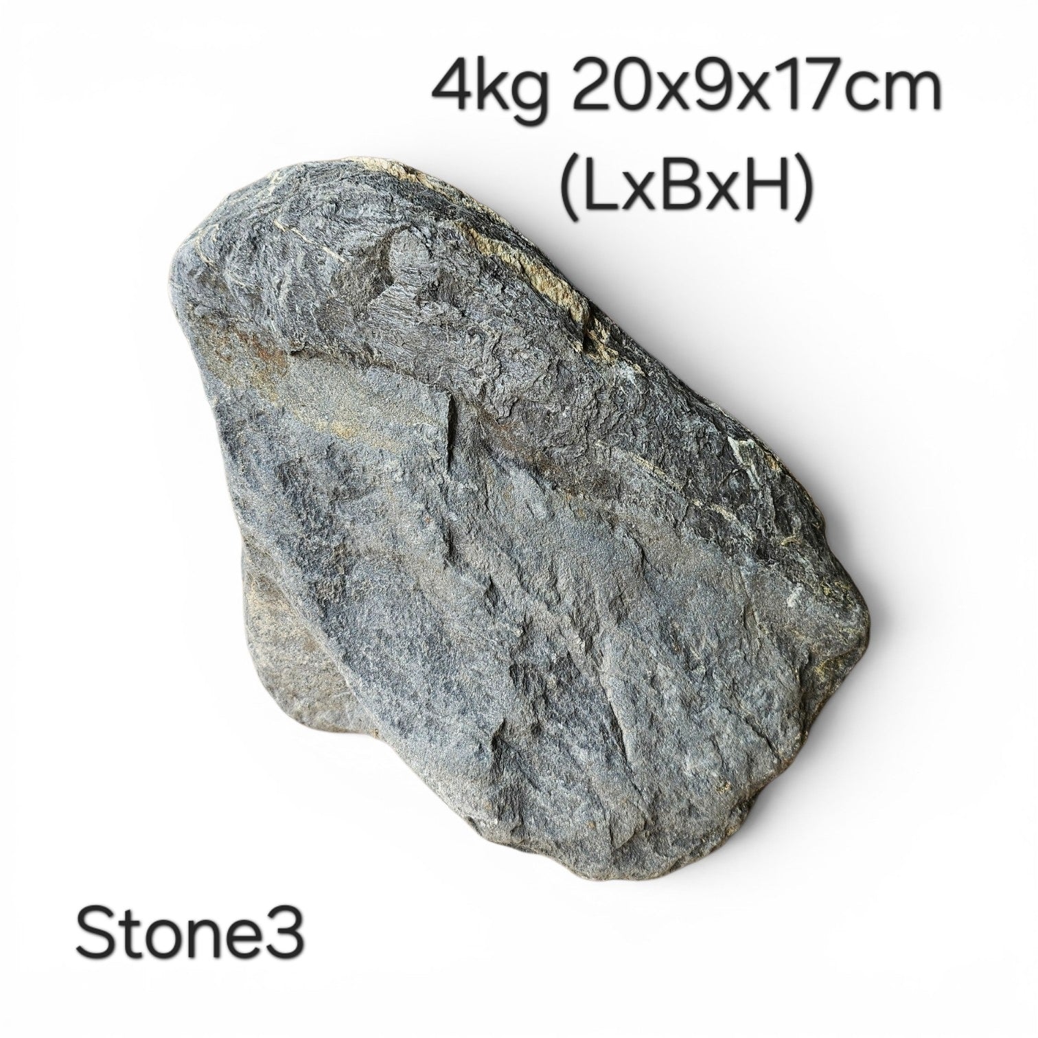 Wild Rhino Steine / Stones XL /  Main Stones