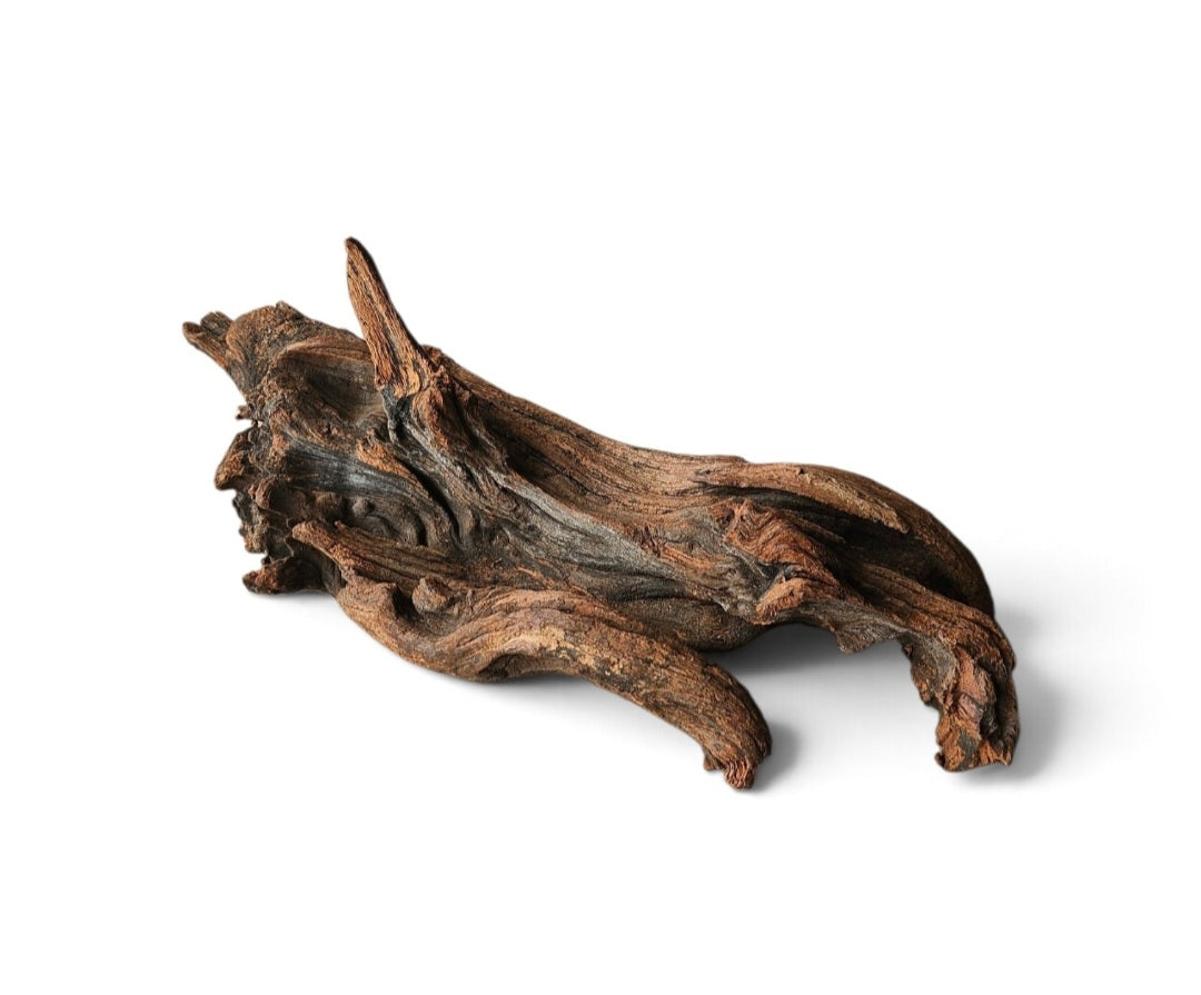 Driftwood / Flusswurzel   Nr. 273