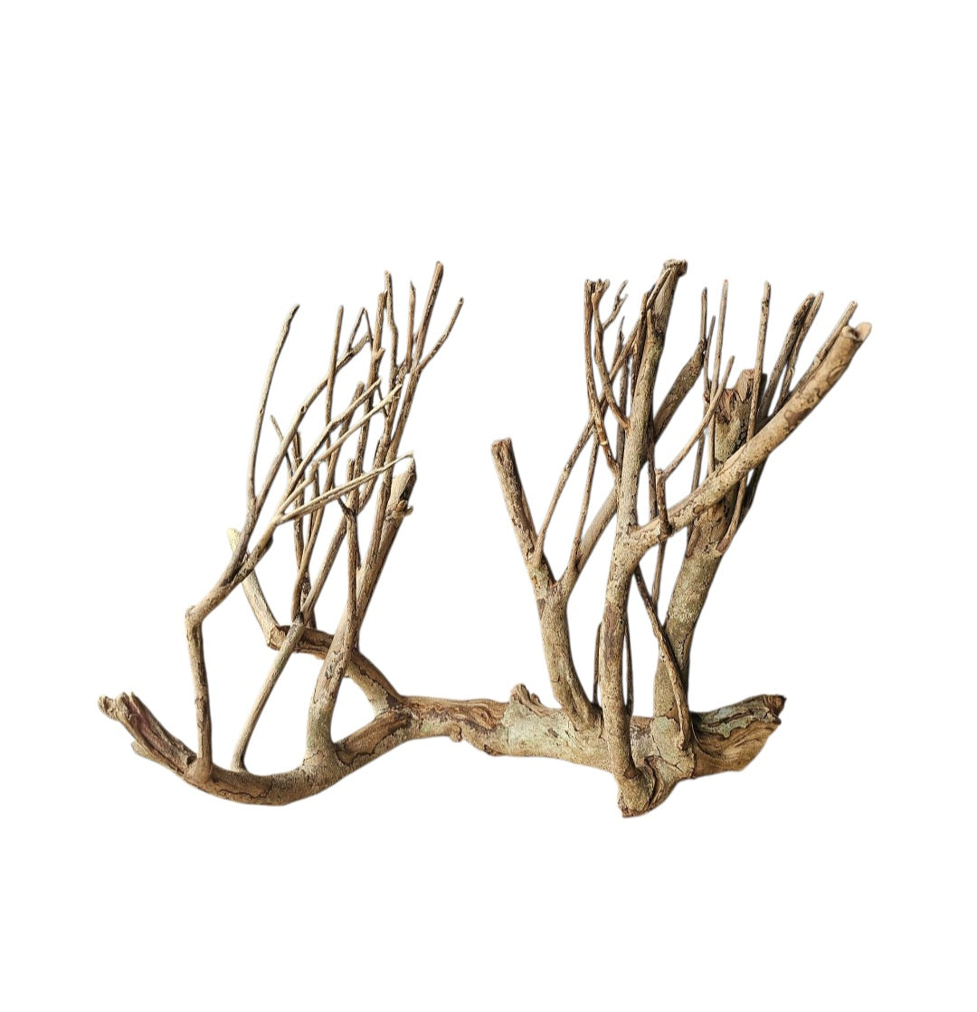 Talawa Holz / Wood 50-70 cm   Nr. 775