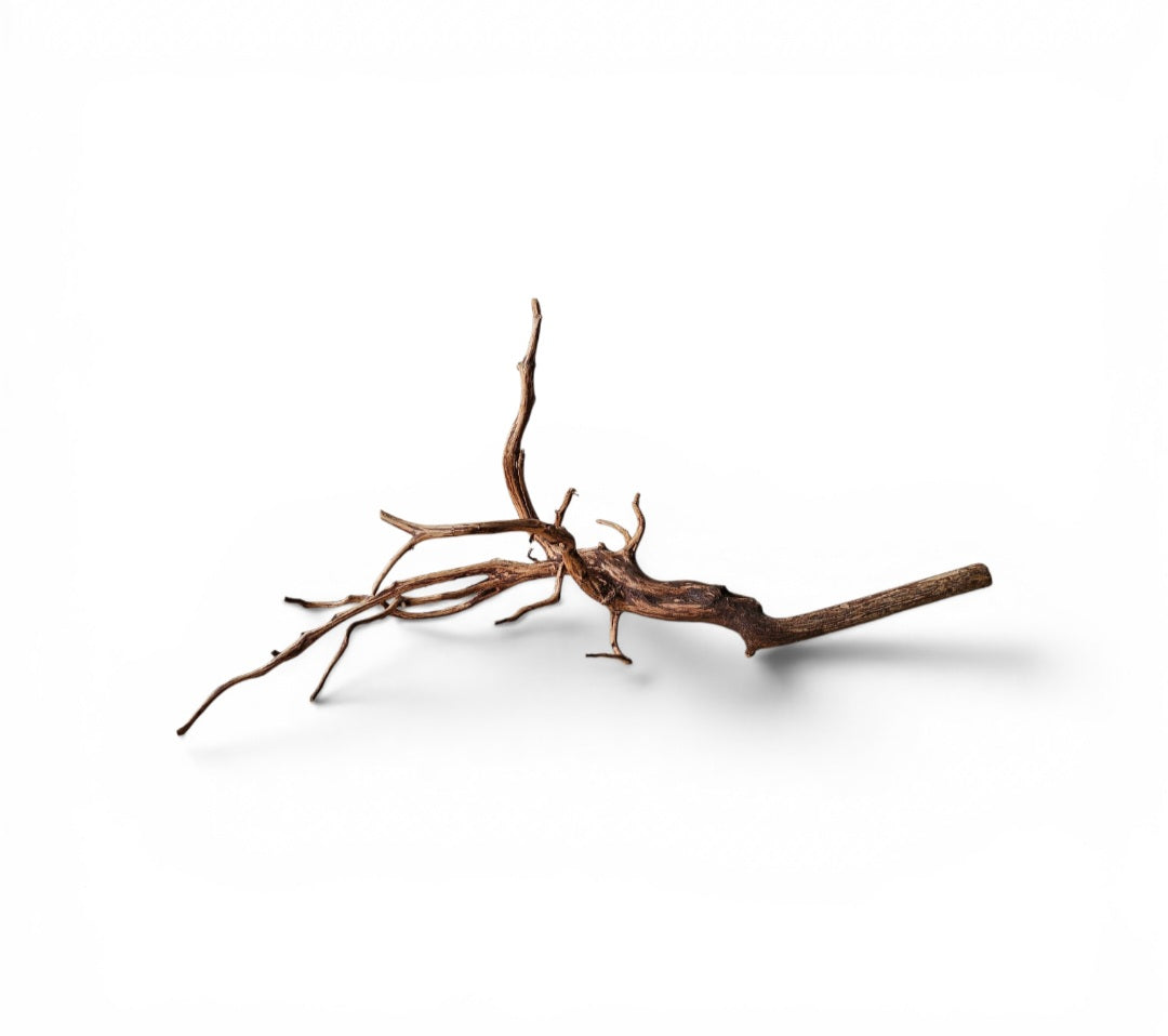 Dark Snake Wood   Nr.588