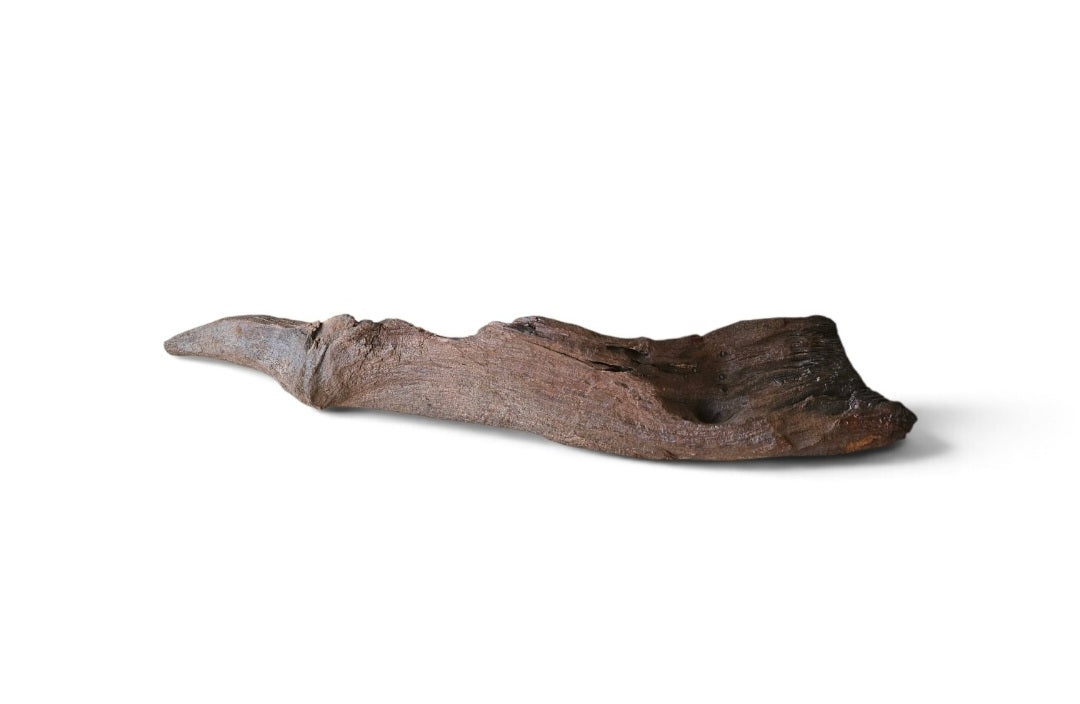 Driftwood / Flusswurzel   Nr.214