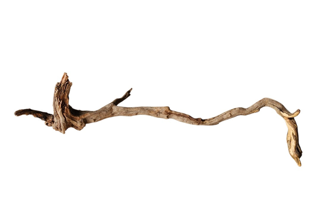 Coral Sinker Wood   Nr. 868