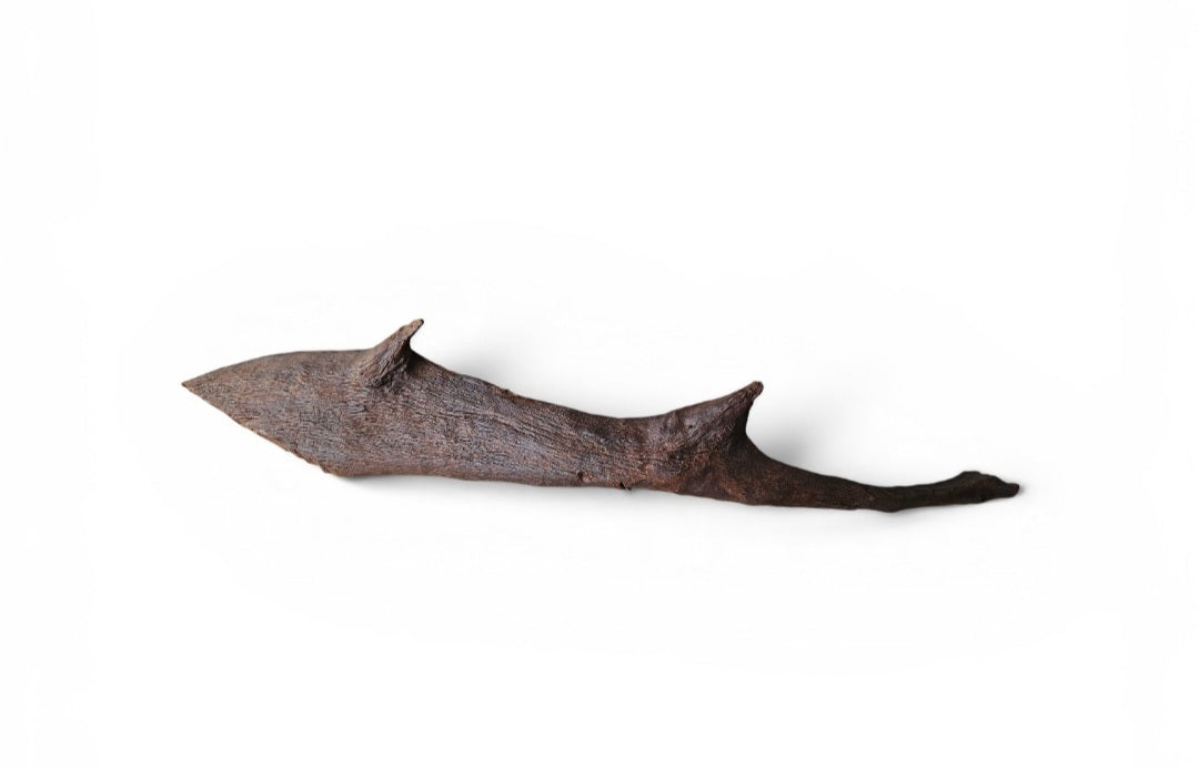 Driftwood / Flusswurzel   Nr.793