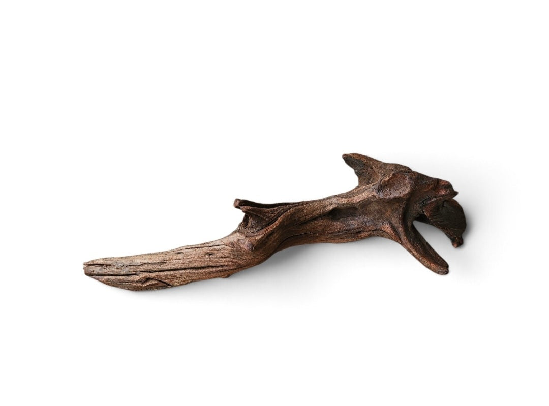 Driftwood / Flusswurzel   Nr. 835