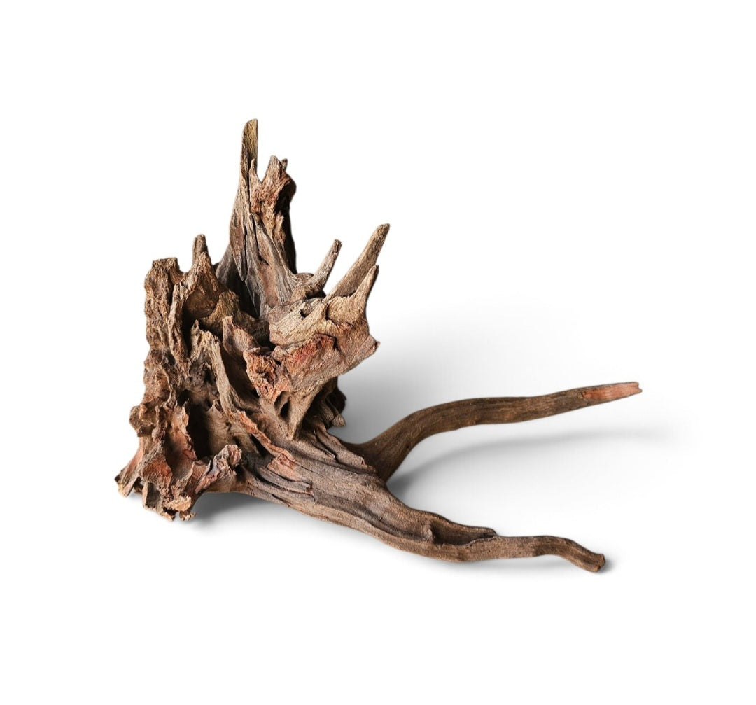 Coral Sinker Wood   Nr. 139