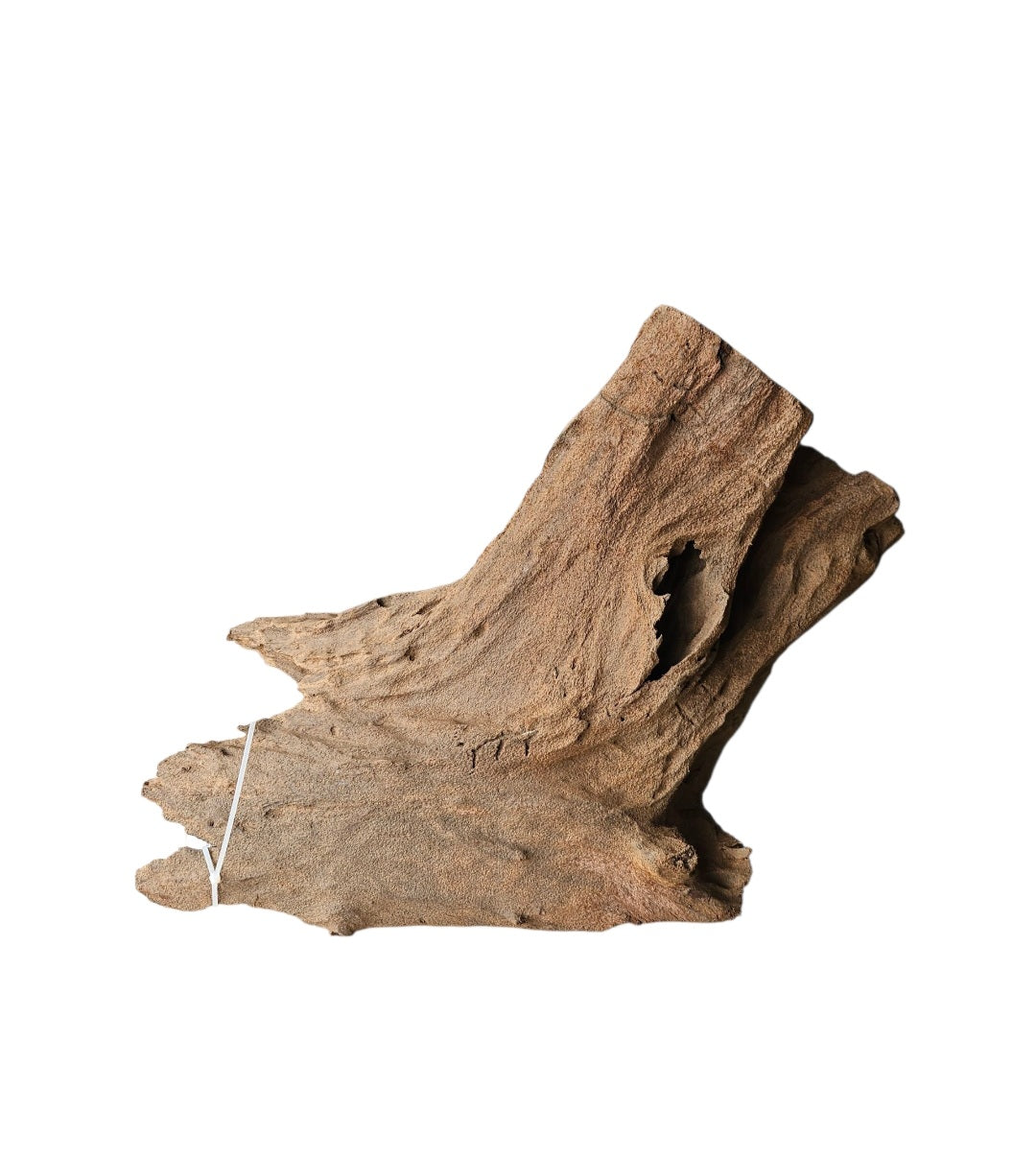 Mangrove  Größe XL  /  Nr.412