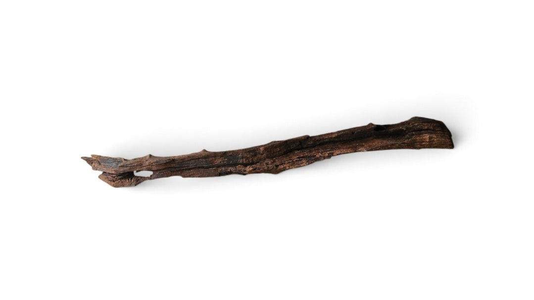 Driftwood / Flusswurzel   Nr. 720