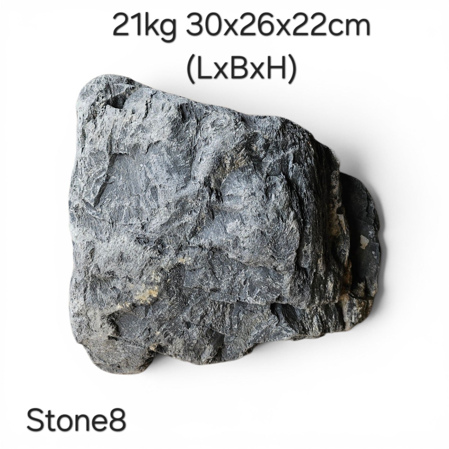 Wild Rhino Steine / Stones XL /  Main Stones