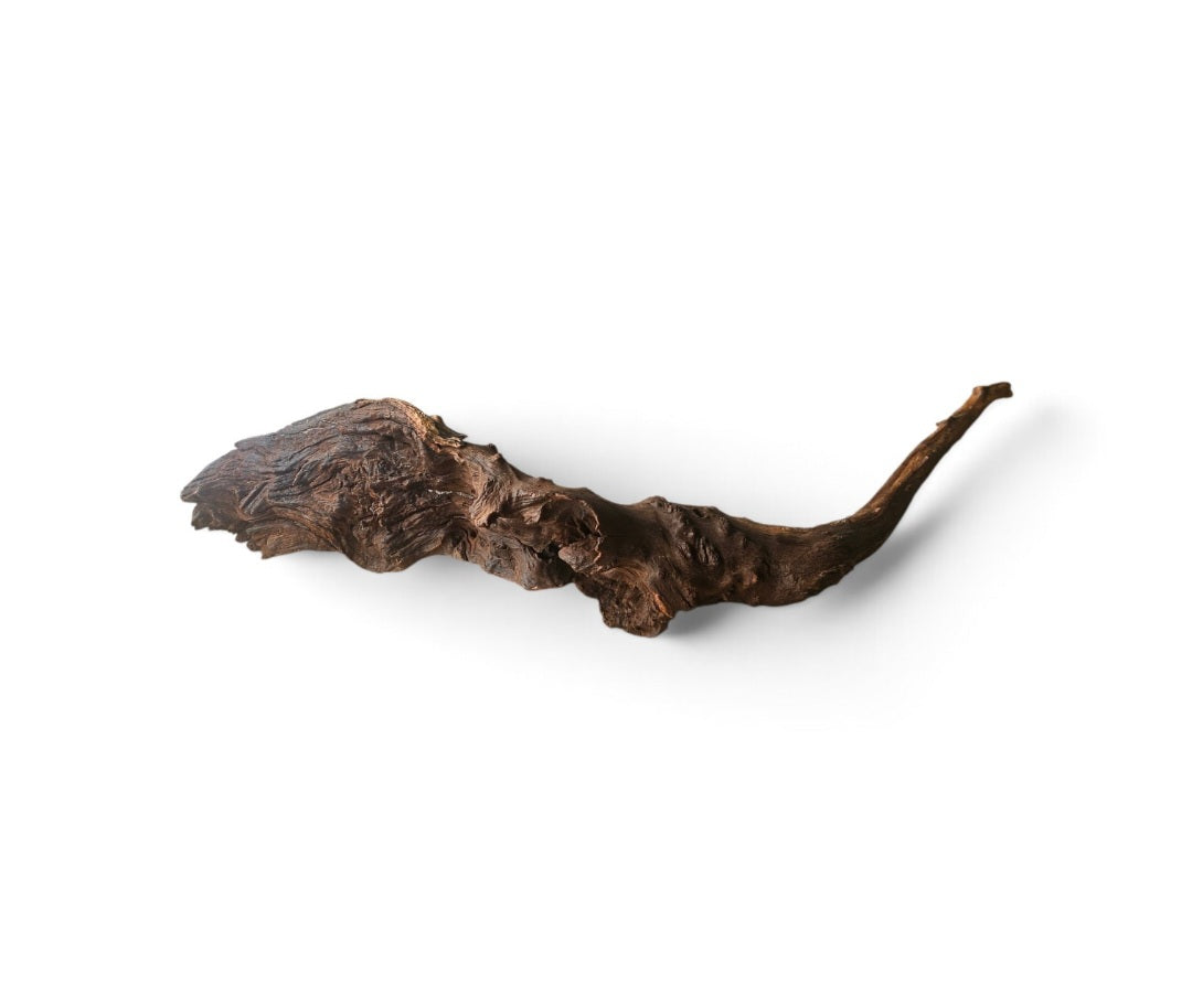 Driftwood / Flusswurzel   Nr. 494